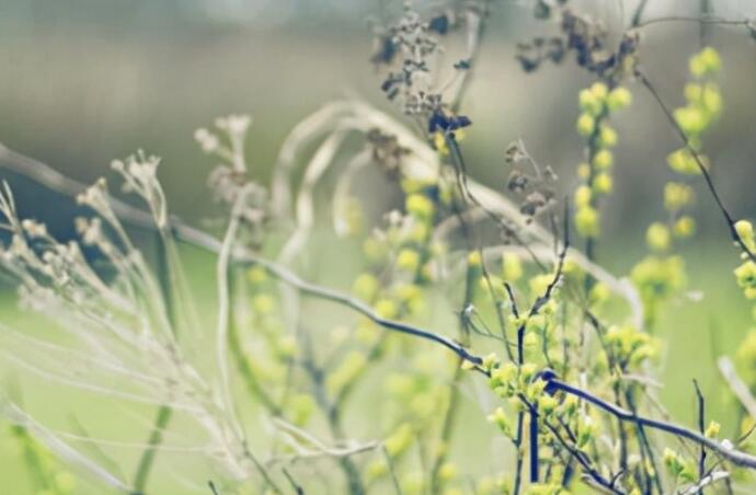 鼓励别人自信的心灵鸡汤