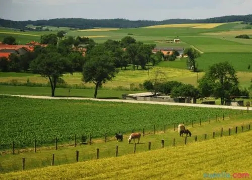 乡村美景的简洁句子文案