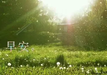 早安朋友问候语
