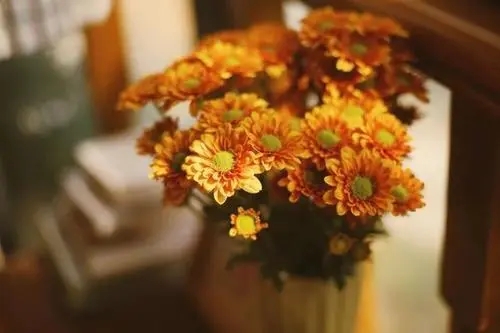 积极向上热爱生活的句子文案