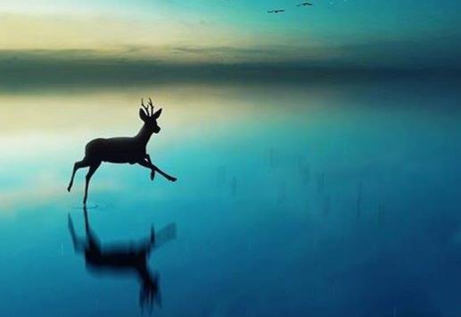 关于青春句子文案简短正能量