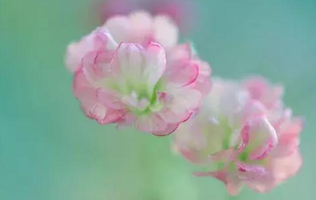 再回首的伤感句子文案