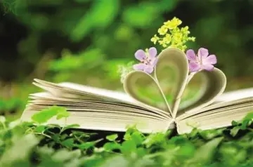 静待花开相似的句子文案