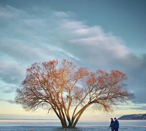 成熟深奥难懂的句子文案