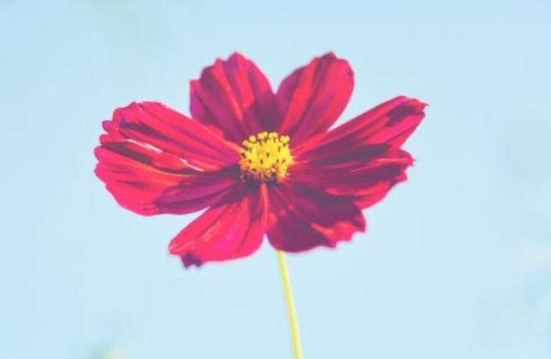 可爱调皮的早安简短句子文案