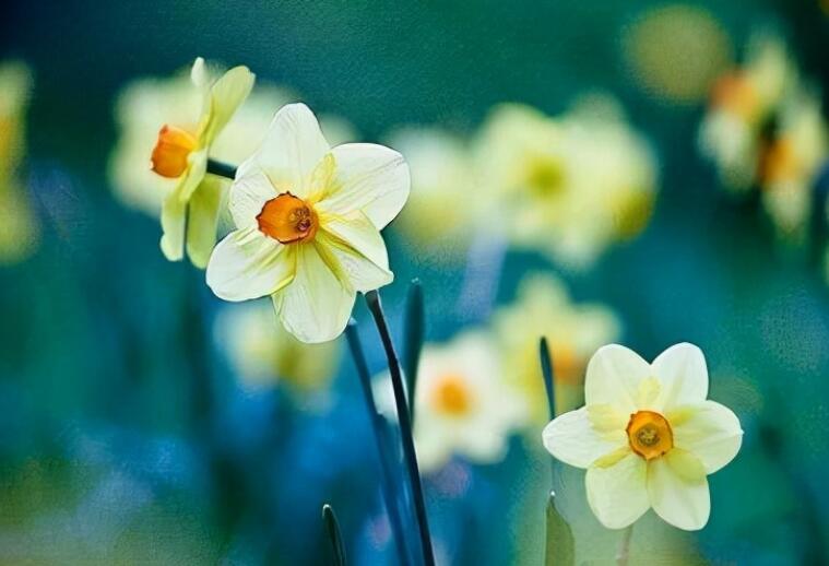 古风唯美句子文案