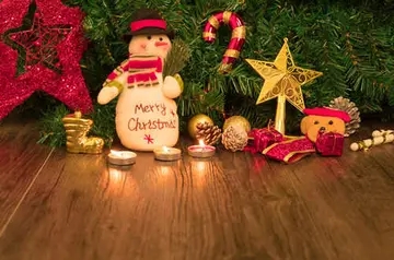 关于圣诞节的句子文案英文加翻译