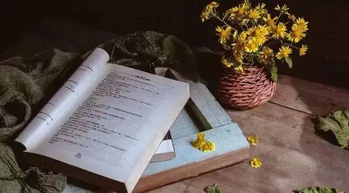 赞美生活情趣的句子文案