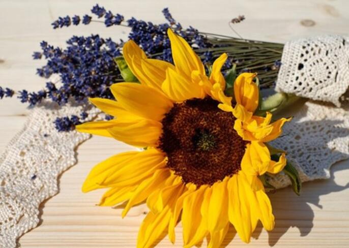 心情感悟励志短句