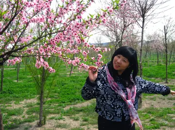 丁立梅励志句子文案