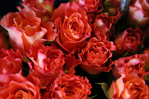 唯美凄凉的爱情语录文案