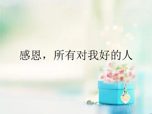 感恩对我好的人的句子文案