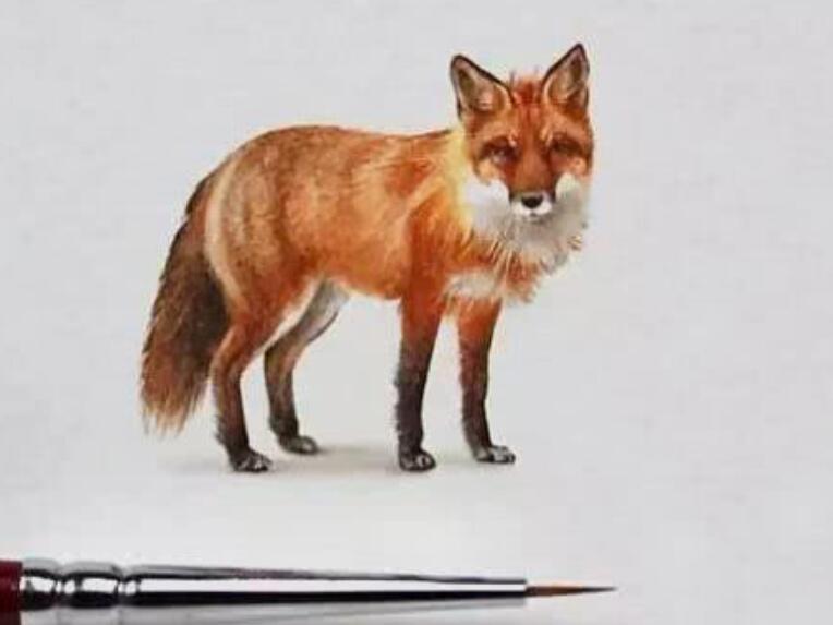 看透社会现实的句子文案