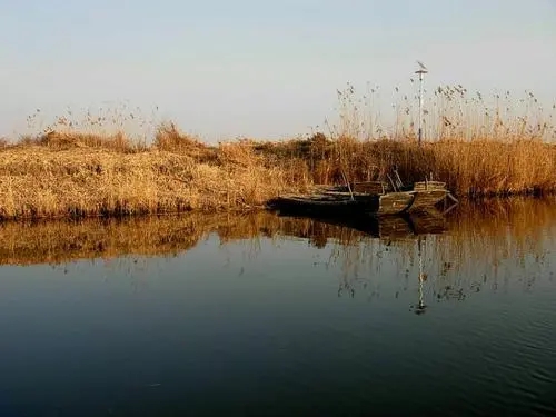 白洋淀纪事好词好句文案