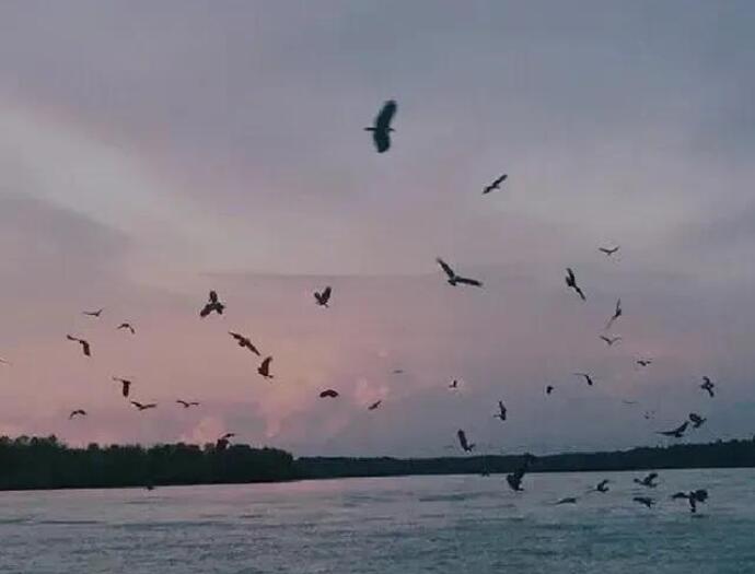 名著情话语录文案