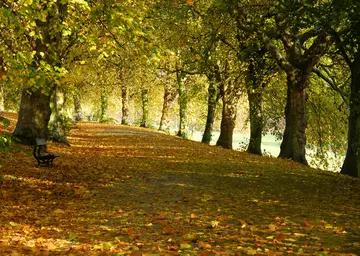 摘抄景色的句子文案大全