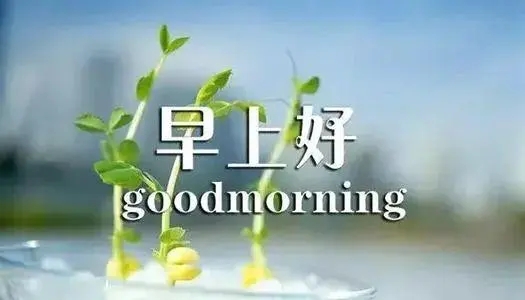 经典的早上好幽默问候语大全