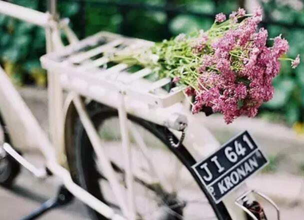 6个字80条优美句子文案