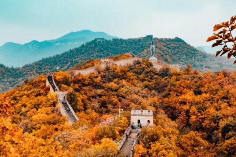 早安健康正能量短句