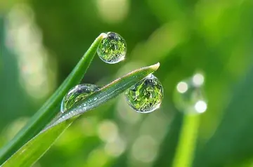 形容吃素静心的句子文案