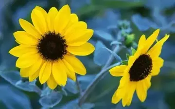 激励人心的句子文案努力奋斗