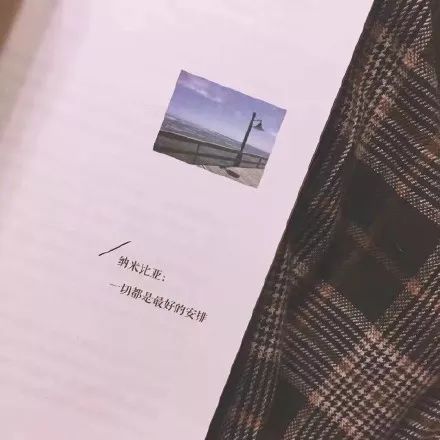 你喜欢的句子文案和你喜欢的理由