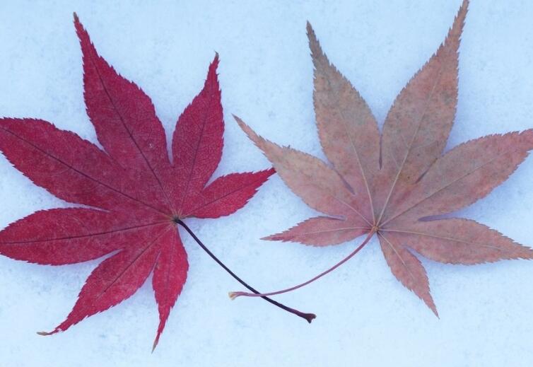 单身正能量的句子文案经典语句