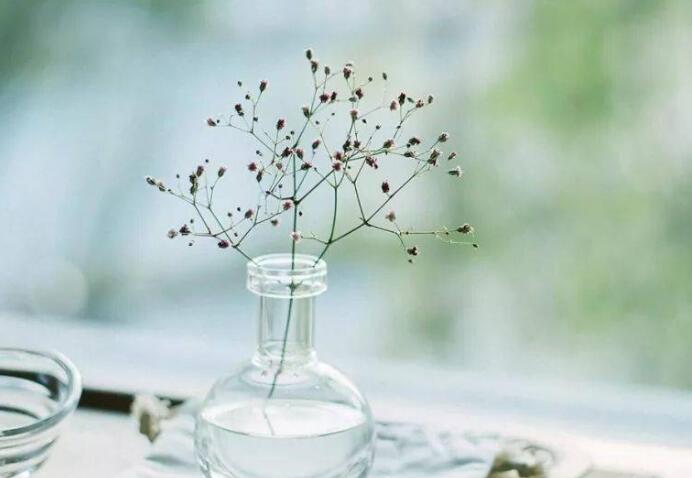 表达美好的一天的句子文案