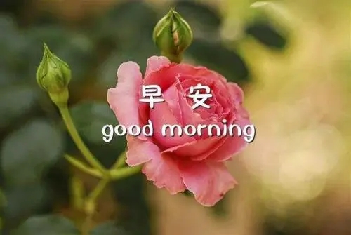 起床早安说说文案心情短语