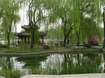 春天已过去夏天要到的句子文案