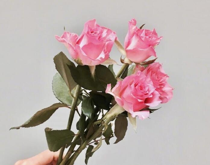 真爱难得的经典句子文案