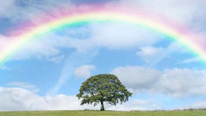 与性格有关的名言