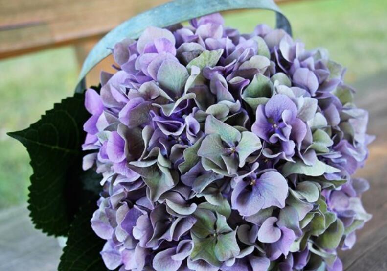 早上祝福语正能量