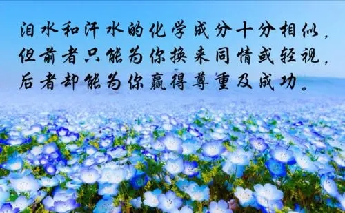 把泪水化作汗水经典语录文案