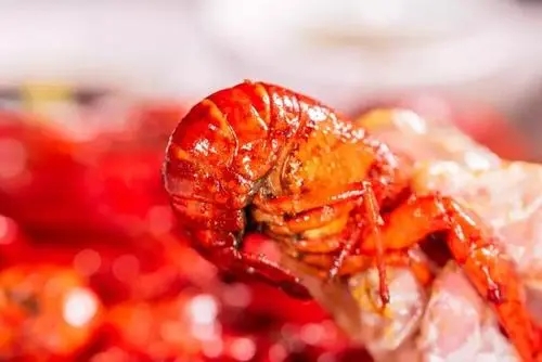 形容小龙虾好吃的句子文案