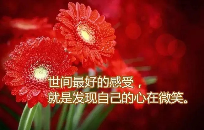 送给朋友暖心的一句话