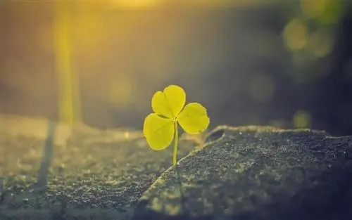 回家了发表个心情说说文案