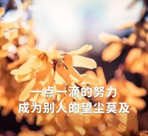 女人的格言励志短句