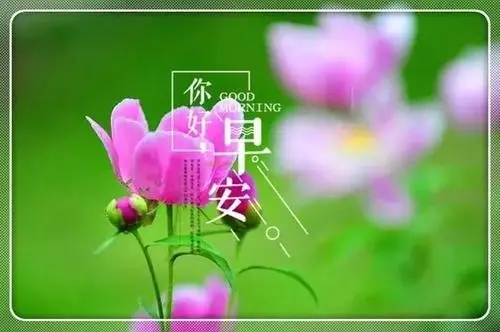 表达早上问候的句子文案