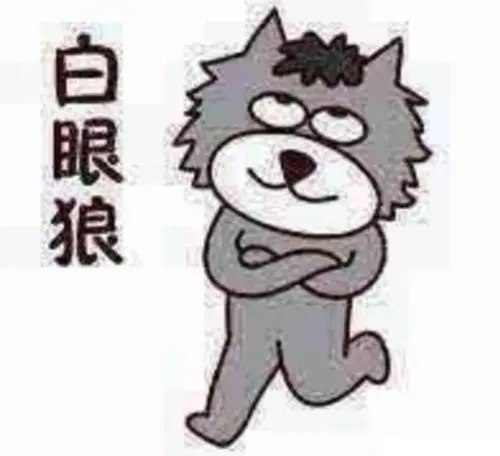 讽刺白眼狼没良心的人句子文案