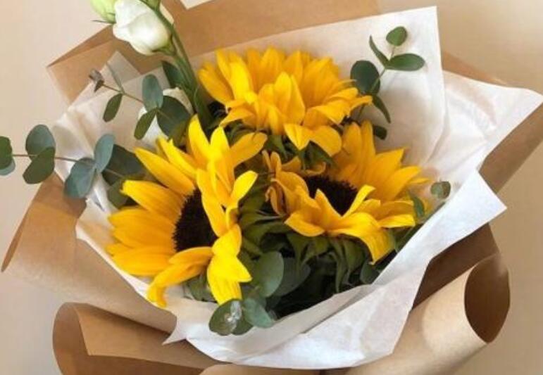 教书节简单祝福语怎么说