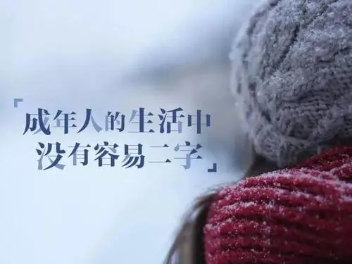 感悟人生的经典句子文案走心