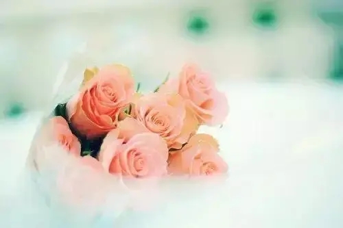 干净暖心句短句