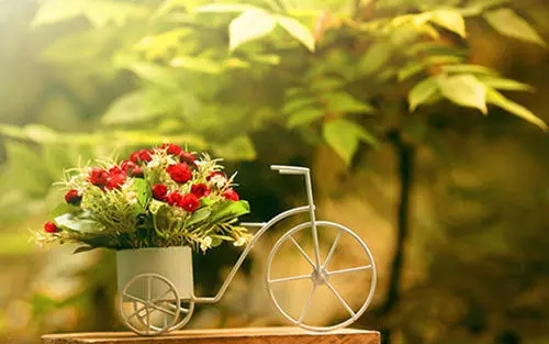 感慨生活励志的句子文案