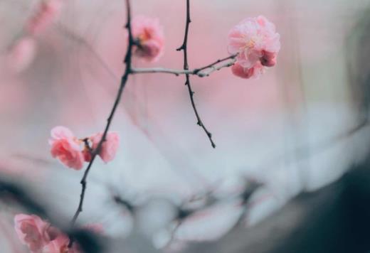 友情诗句经典语录文案