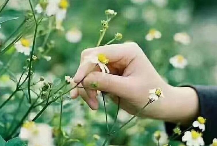 母亲去世后的思念短语