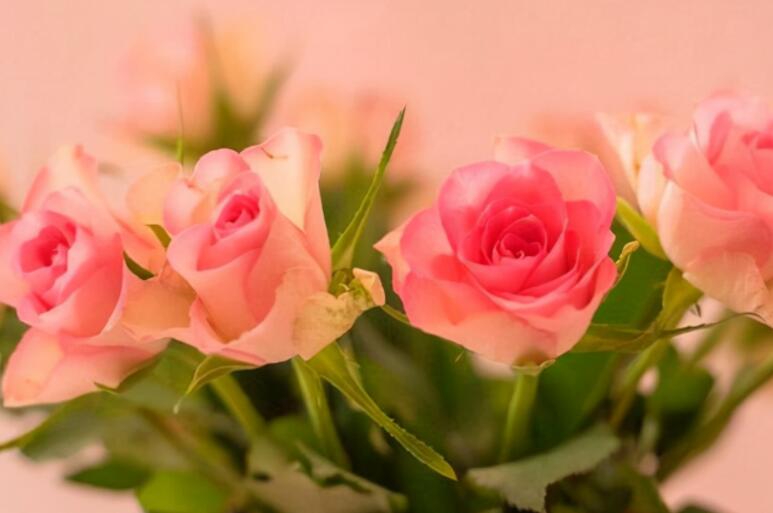 一个人的的伤痛的句子文案