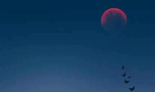 快乐每一天的说说文案