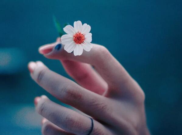 祝愿你开心快乐的简短句子文案