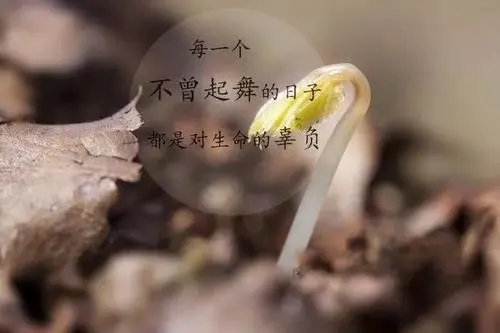 名言励志语简练